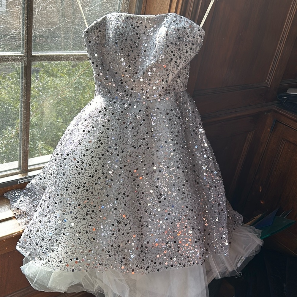 New with tags silver beaded/sequin dress with tulle